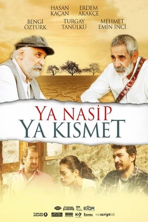 Ya Nasip Ya Kısmet