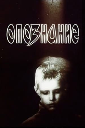 Poster Опознание (1991)