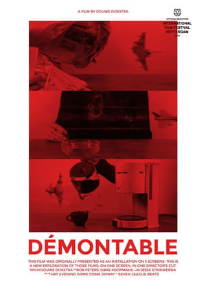 Poster Démontable (2014)