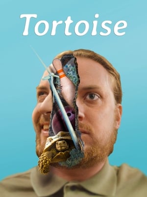Poster Tortoise (2018)