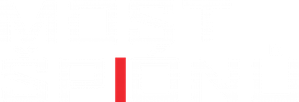 Ponte dos Espiões — Logos 11