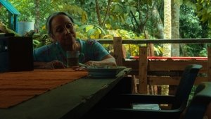 Como Cantan Las Aves