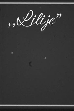 Lilije