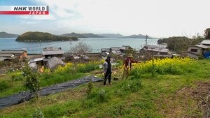 Journeys in Japan: 14×12