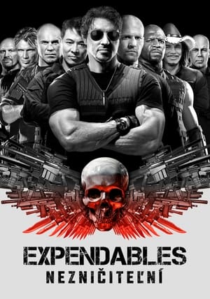 Expendables: Nezničiteľní 2010