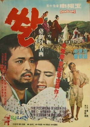 Poster 쌀 1963