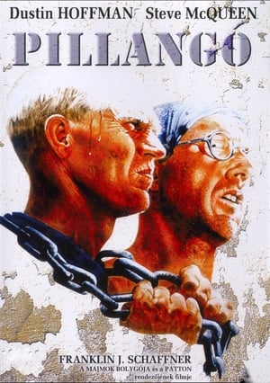 Poster Pillangó 1973
