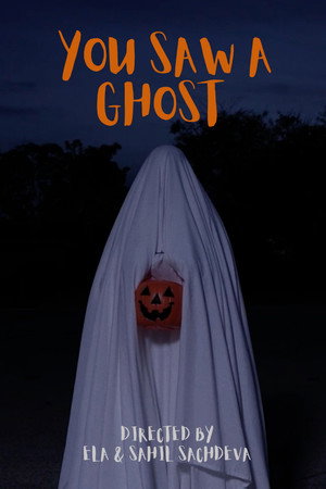 You Saw a Ghost