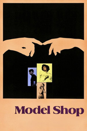 Model Shop 17
