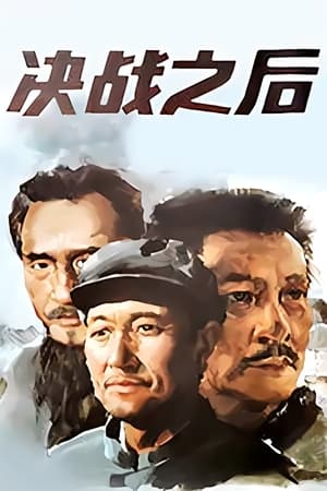 Poster 决战之后 1991