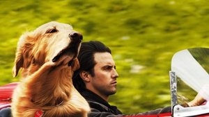 Mi Amigo Enzo (2019) HD 720P LATINO/INGLES