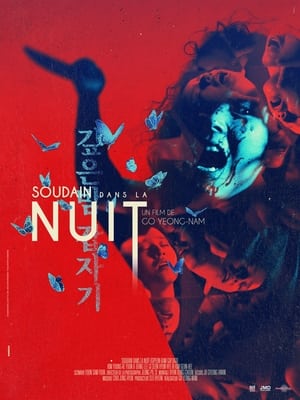 Poster Soudain dans la nuit 1981