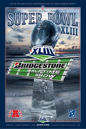 Bruce Springsteen - Superbowl XLIII Halftime Show poster