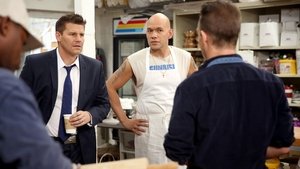 Bones Season 10 Episode 13