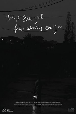 Today's Sunlight Falls Weakly on You