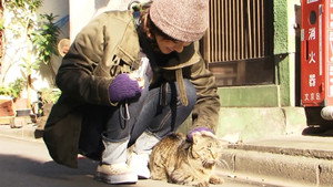 фото  - Смотреть 私は猫ストーカー бесплатно онлайн на Lord-Filmy