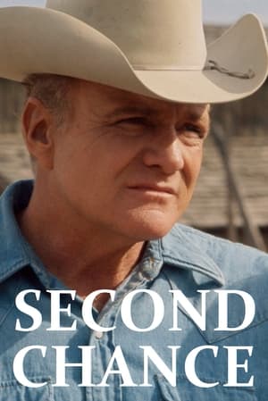 Second Chance poster