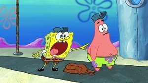 SpongeBob Schwammkopf: 13×29