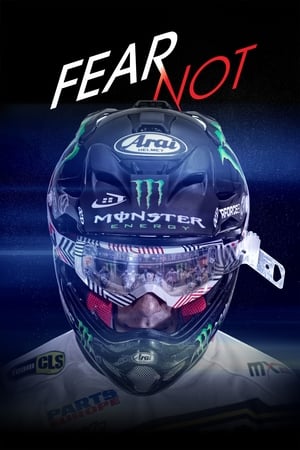 Poster Fear Not 2015