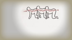 ดูหนัง The Human Centipede (2009) จับคนมาทำตะขาบ [ซับไทย]