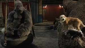 El Magnífico Iván (2020) WEB-DL 720P ESPAÑOL/INGLES