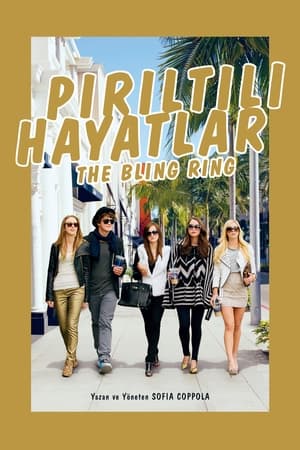 Poster Pırıltılı Hayatlar 2013