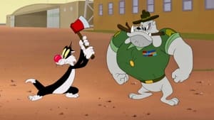 Looney Tunes Cartoons: 2 Episodios del 1 al 11