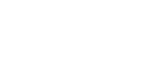 Never Back Down: La Révolte