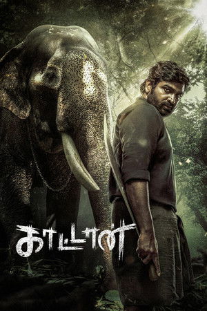 காட்டான்