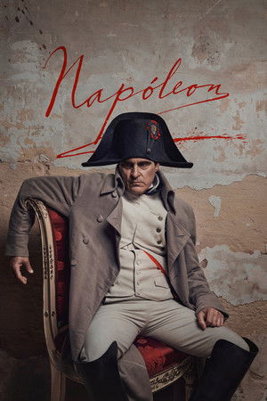 poster Napoleon
