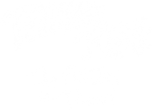 Teenage Kiss: The Future Is Dead