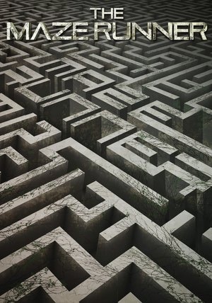 poster The Maze Runner