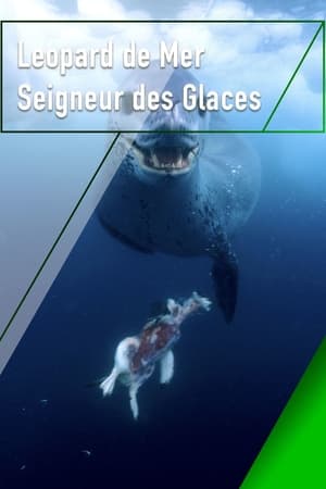 Image Le léopard de mer, seigneur des glaces