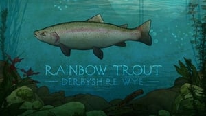 Mortimer & Whitehouse: Gone Fishing Rainbow Trout in the Monsal Valley