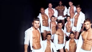 Confessions of a Male Stripper film complet