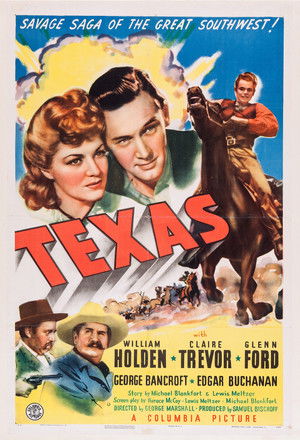 poster Texas