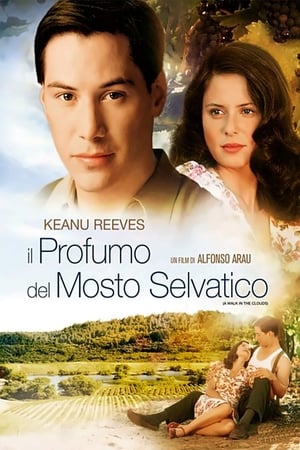 Il profumo del mosto selvatico (1995)