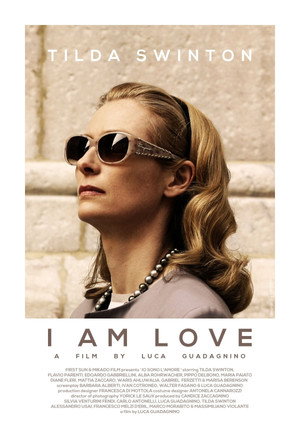 Постер фильма «Я – это любовь (2009)» — (13 из 27)