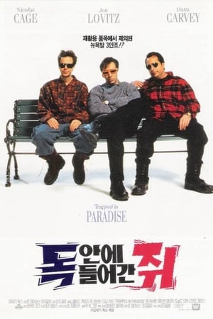 독 안에 들어간 쥐 1994