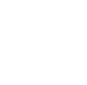 Insect Detective — Logos 1