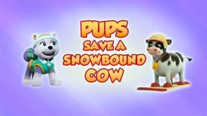 Pups Save a Snowbound Cow