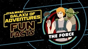 Image Fun Facts: The Force