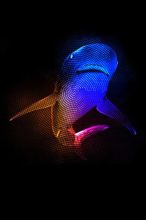 Mothersharker 6