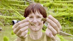 Journeys in Japan: 15×16