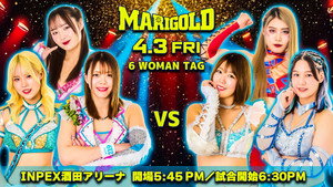 Marigold Spring Victory Series 2026 ~ Day 7