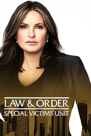 poster Law & Order: Special Victims Unit