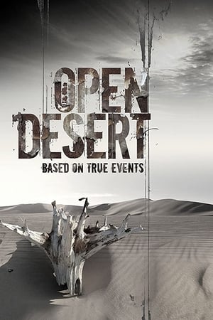 Poster Bajo el sol del desierto 2013