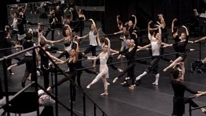 Black Swan 2010