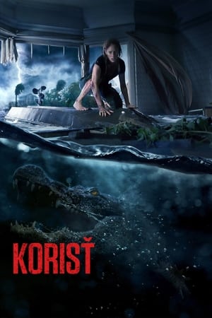 Poster Korisť 2019