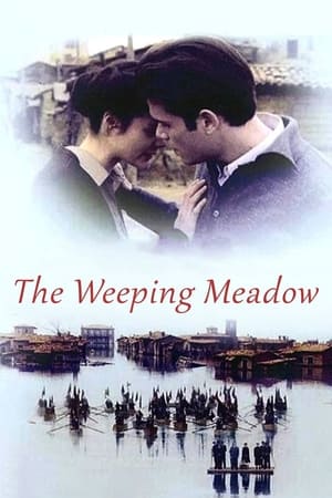 The Weeping Meadow cover
